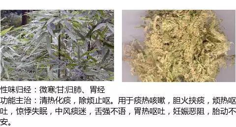 史上最全中药图鉴,500多种中草药及主治功效！（收藏）