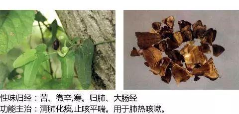 史上最全中药图鉴,500多种中草药及主治功效！（收藏）