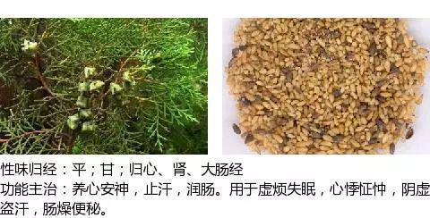 史上最全中药图鉴,500多种中草药及主治功效！（收藏）