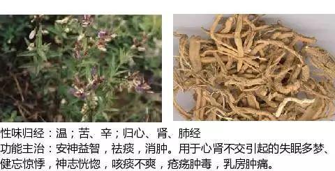 史上最全中药图鉴,500多种中草药及主治功效！（收藏）