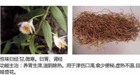 史上最全中药图鉴,500多种中草药及主治功效！（收藏）